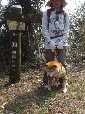 「紫雲出山 桜まつり」に思う