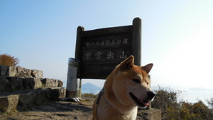 桜まつりin紫雲山