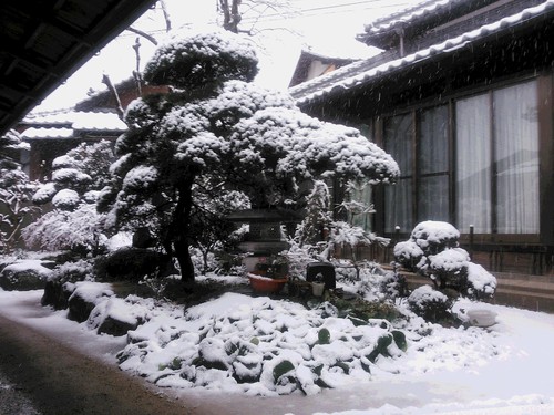 大雪