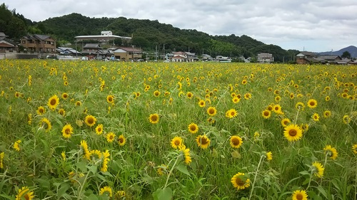 お出かけ 07/22